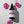 Alteya - Organic Bulgarian Rose Water 240 ml - Amber Glass