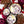 Ash & Rose - COCOA LUXE Chocolate Raspberry Candle