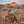 Puzzle - Wooden Puzzle Prickly Pear