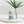 Little Seed Farm - Rosemary Patchouli Deodorant Cream