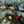 Ornament - Felt Bird - 6 Assorted