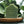Potager’s Natural Eucalyptus Mint Soap – Fresh, Cooling & Revitalizing