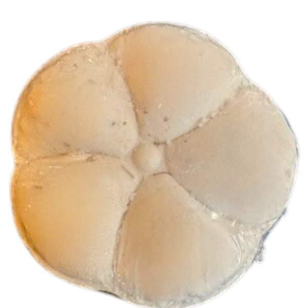 Flower Bath Bomb Collection - 3 Scent Options