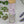 Ash & Rose Brand - Sooothe Lavender Mint Epsom Salt Oatmeal Bath Soak Vial Tube