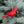 Ornament - Felt Bird - 6 Assorted