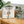Eucalyptus Mint Soap – Fresh, Cooling & Revitalizing